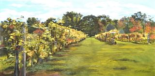 BCCC To Host 2024 Bucks County Wine And Art Trail Exhibition