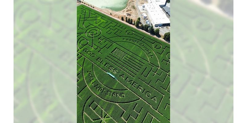 Navigating this world-record corn maze is a test of the human psyche