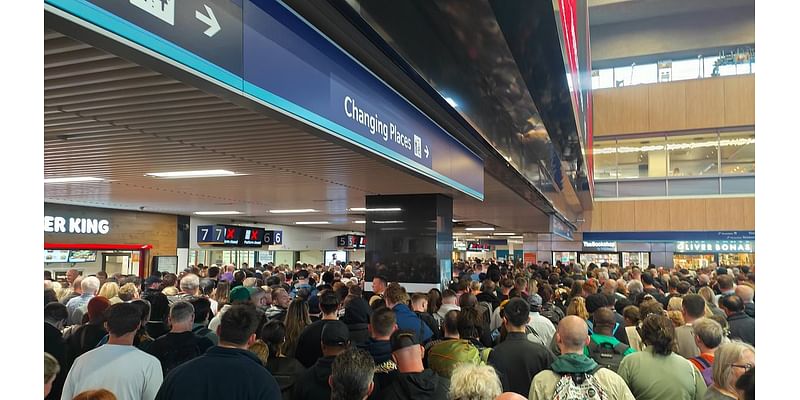 Train passengers brand Euston Station 'Like Squid Games but with a Boots' after day of hellish delays, chaotic queues and even dripping trains