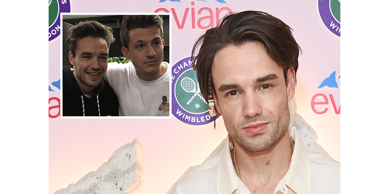 Liam Payne Tributes Pour in After Singer Falls to His Death