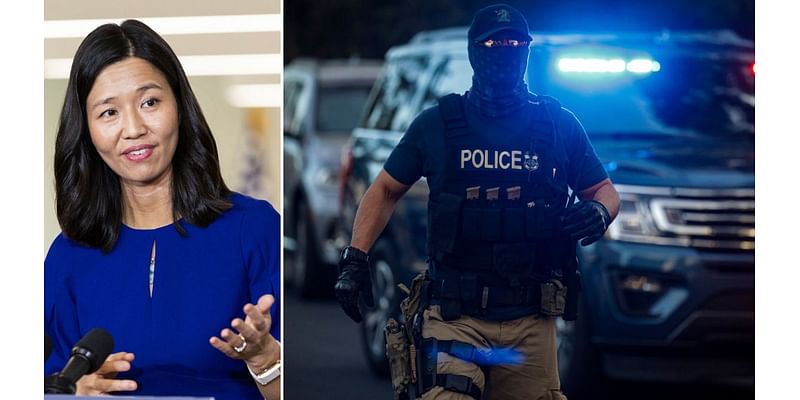 'Sanctuary' city mayor vows she will defy Trump's mass deportation push: 'Causing widespread fear'