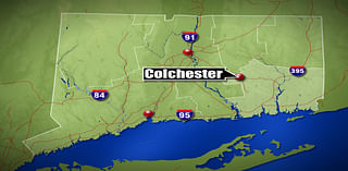 Two pets in Colchester died after a late-night structure fire