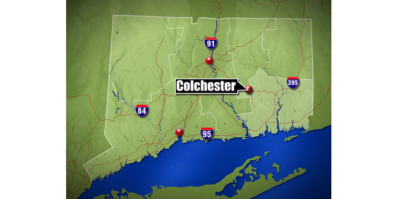 Two pets in Colchester died after a late-night structure fire