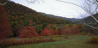 Fall foliage: How to track fall colors in Pennsylvania, New Jersey