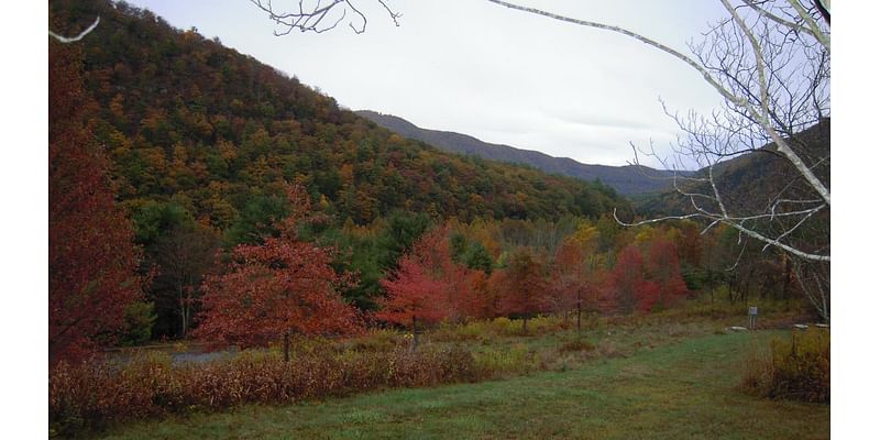 Fall foliage: How to track fall colors in Pennsylvania, New Jersey