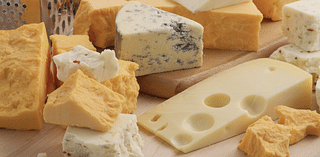 State: Do not eat cheese by Hickory Knoll Farms due to health risk