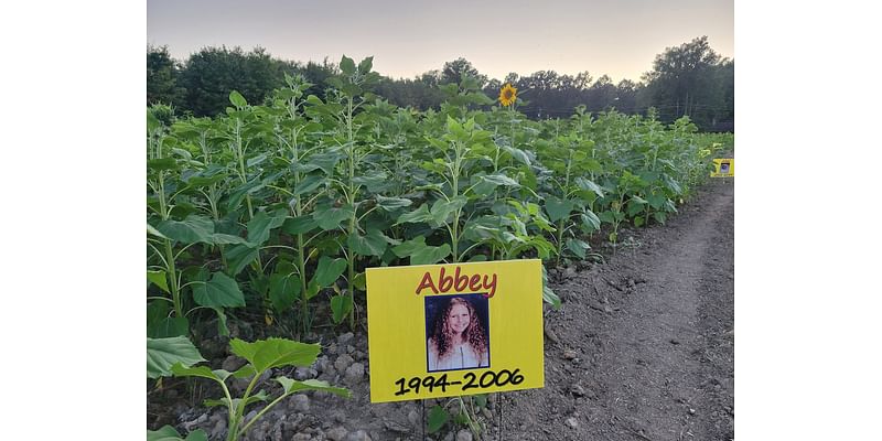 Sunflower field in full bloom, events planned: Short Takes on Avon, Avon Lake and North Ridgeville