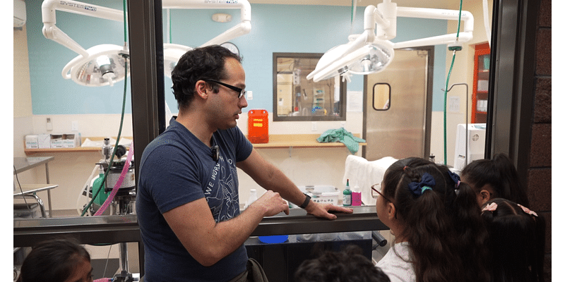 Denver Animal Shelter encourages DPS students to consider career in veterinary science amid vet shortage