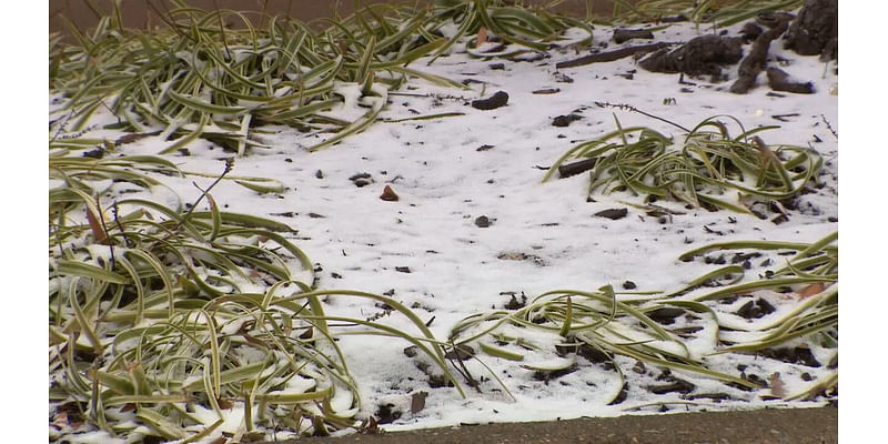 First Alert Weather to debut DC, Maryland and Virginia winter snowfall prediction Monday