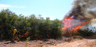 Prescribed fire scheduled next week for Lake Mead area