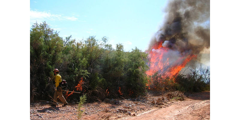 Prescribed fire scheduled next week for Lake Mead area