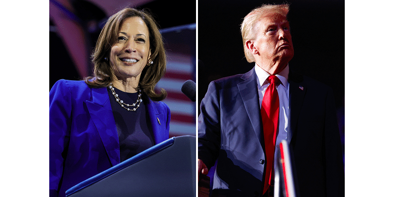 Donald Trump's Swing State Gains Are Ominous for Kamala Harris