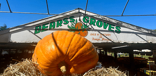 Largest pumpkin in Florida arrives in Tampa