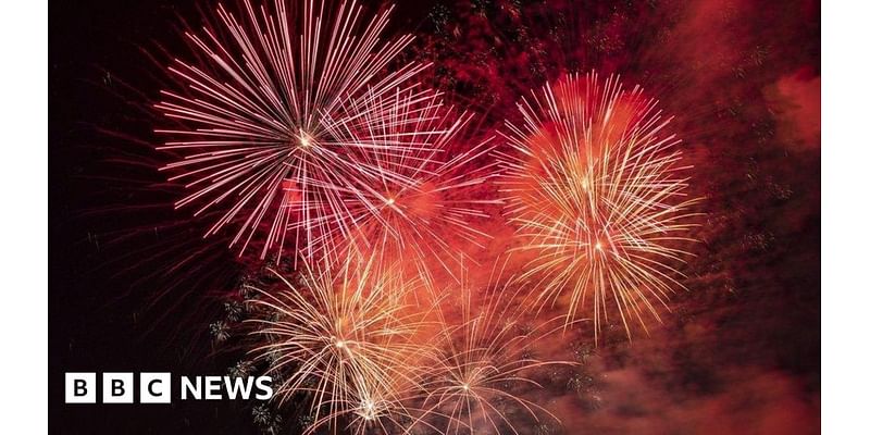 Bonfire Night: Fireworks advice for pet owners in Surrey