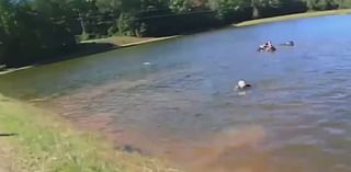 Watch: Bystanders pull driver from car that plunged into lake