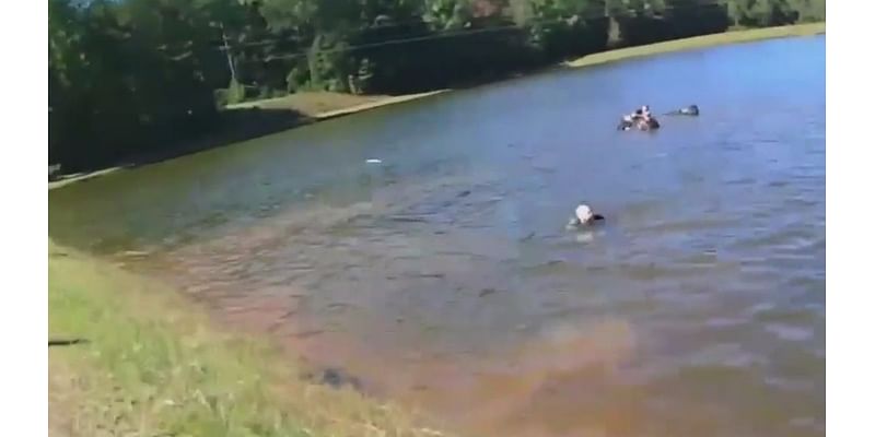 Watch: Bystanders pull driver from car that plunged into lake