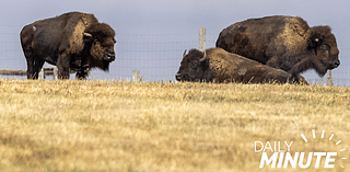 Daily Minute: Drought worsens in Nebraska; construction begins at old Pershing; Stars scoring at frantic pace