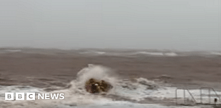 Devon wingsurfers saved during yellow weather warning