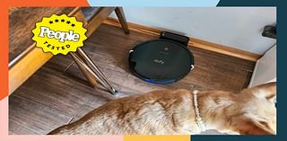 The 10 Best Pet Hair Vacuums of 2024, Tested by Real Pet Parents