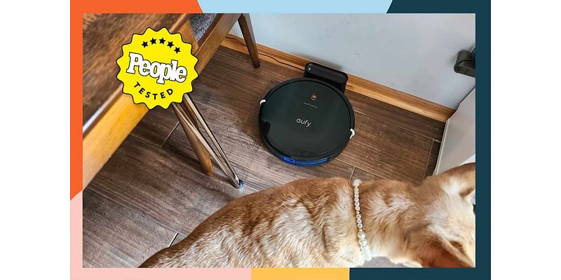 The 10 Best Pet Hair Vacuums of 2024, Tested by Real Pet Parents