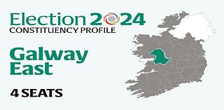 Galway East Election 2024: Who are the candidates and who could make gains? Everything you need to know before voting