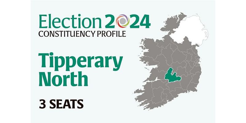 Tipperary North Election 2024: Who are the candidates and who could make gains? Everything you need to know before voting