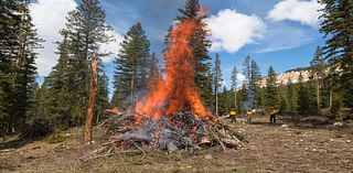 Pile burning could begin next week near Pinedale