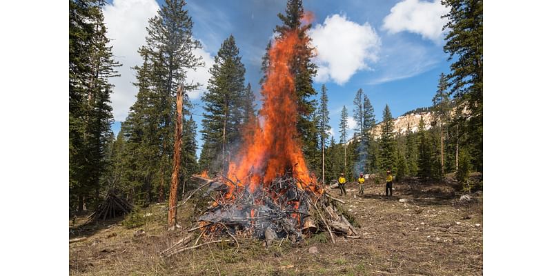 Pile burning could begin next week near Pinedale