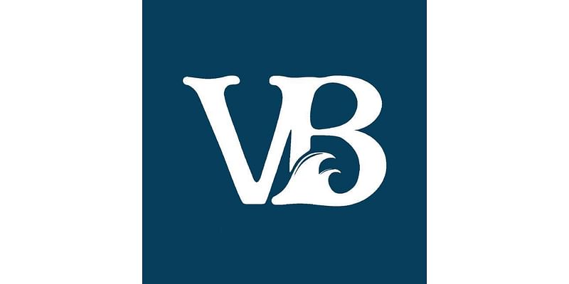 VB council votes down putting 10-1 voting system into charter