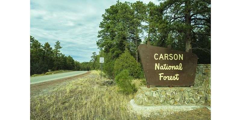 Fire crews plan pile burns in Carson National Forest