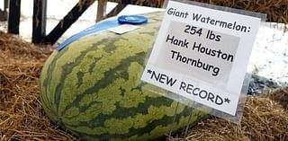 Growers in the giant veggie world honor Hank Houston