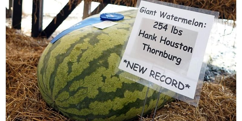 Growers in the giant veggie world honor Hank Houston