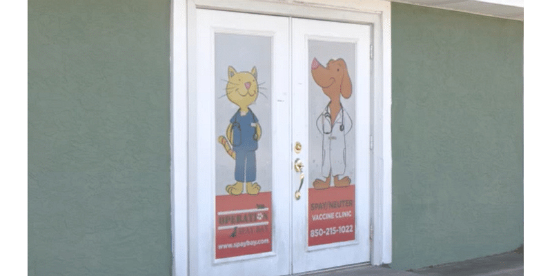 Panama City Beach launches new program to reduce feral cat population