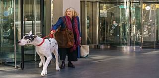 ‘The Friend’ Needs a Home: Naomi Watts, Bill Murray, and a Great Dane Named Bing Will Tug Your Heartstrings