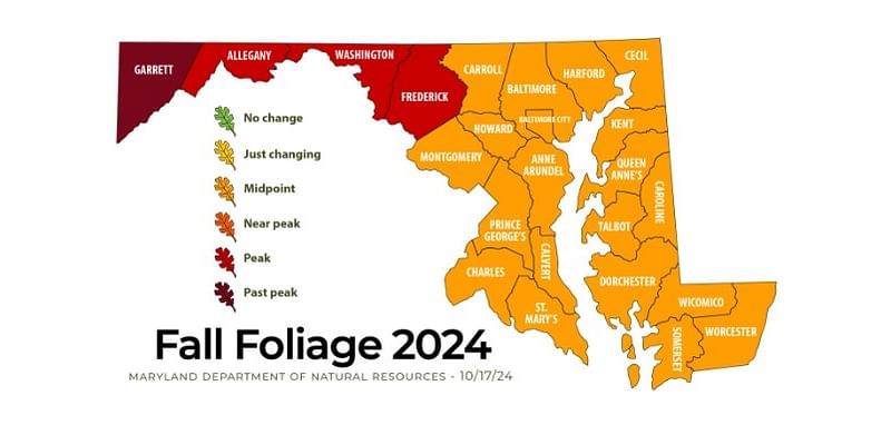 Fall Foliage Report: Western Maryland past peak, central counties reach mid-point