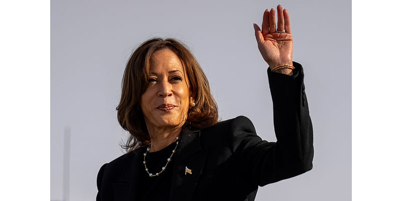 Analyst Explains Why Polls May 'Underestimate' Kamala Harris' Chances