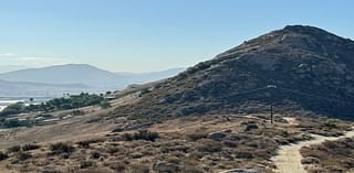 Environmentalists sue Jurupa Valley to protect ancient plant from ‘harmful’ development