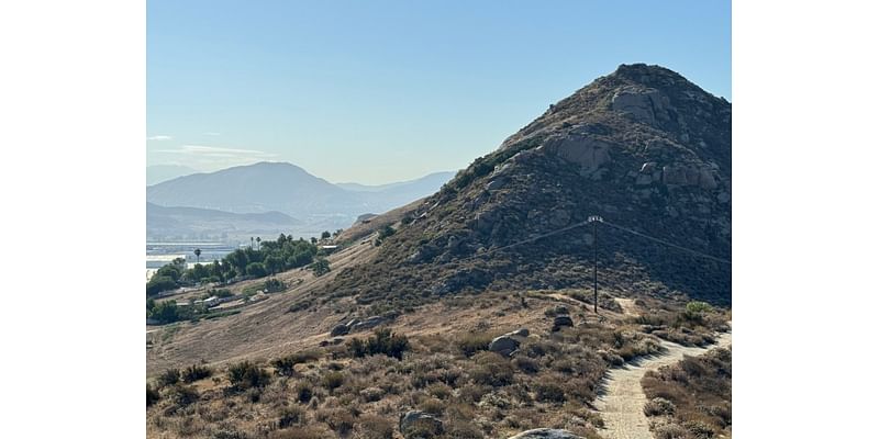 Environmentalists sue Jurupa Valley to protect ancient plant from ‘harmful’ development