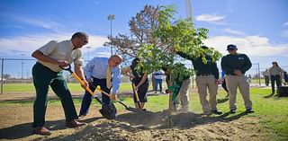 City kicks off $1 million program to plant 600 trees: 'Every neighborhood deserves the access to the benefits that trees provide'