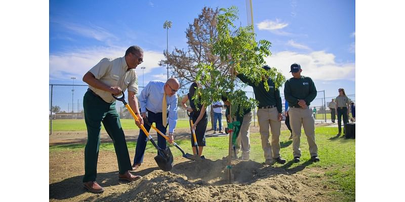 City kicks off $1 million program to plant 600 trees: 'Every neighborhood deserves the access to the benefits that trees provide'