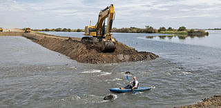 Restored Solano County wetland ceremonially flooded to save endangered Delta fish