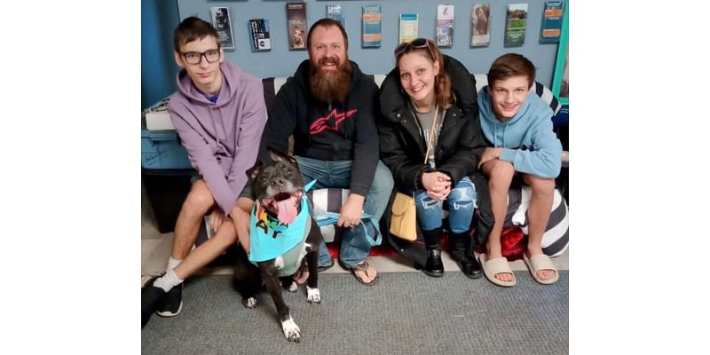 Senior dog Cruiser adopted after months in Muskegon shelter