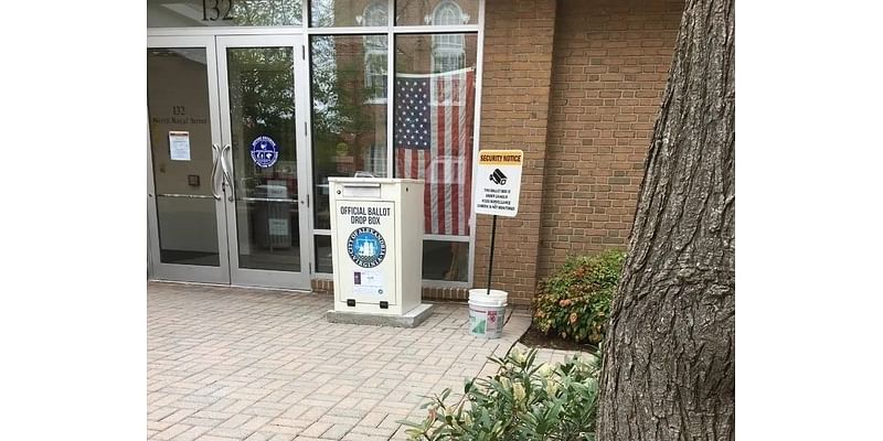 Alexandria November General Election Voter Guide: Candidates, How To Vote