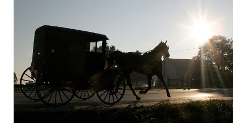 Drivers urged to beware of buggies due to large Amish wedding in Holden