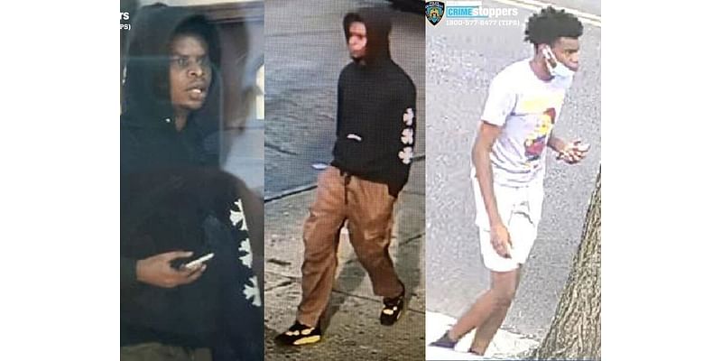 Police Search For Brooklyn's Serial Gropers: NYPD