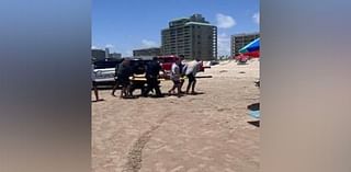 2 bitten by shark off Texas island as beachgoers celebrate July 4th