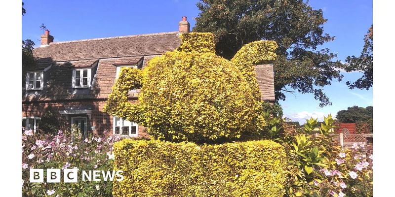 Late villager's topiary teapot in Tydd St Mary remains hot topic