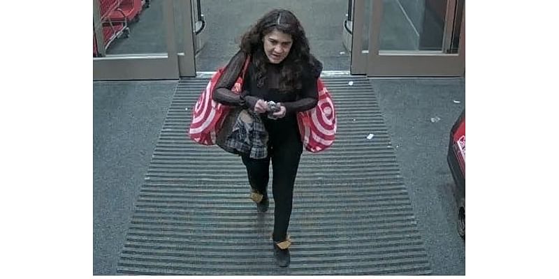 Two Women Sought In Southington Target Heist: Police