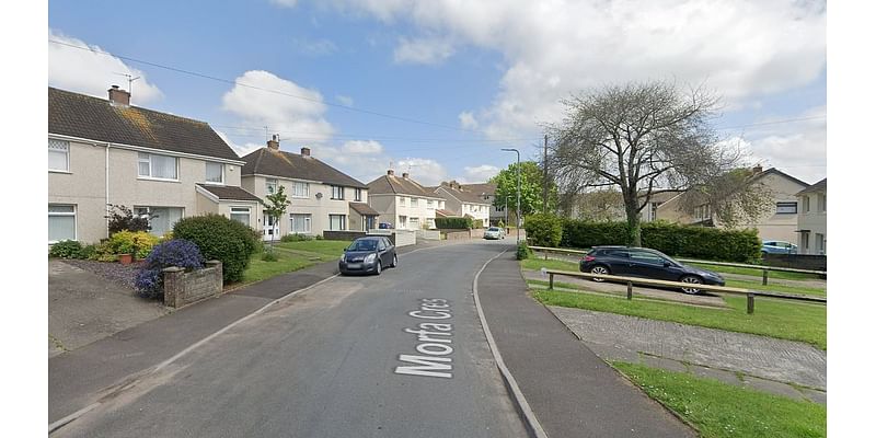 Two people found dead after emergency services descend on house in Cardiff as police launch investigation