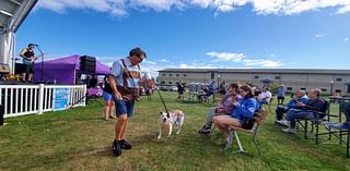 Cosplaying pooches, tossable brats contests delight at Kenosha lakeside Oktoberfest